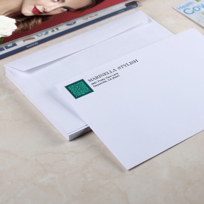6 x 9 Envelopes mailing envelope